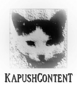 kapushcontent-seo-content-for-post-penguin-world