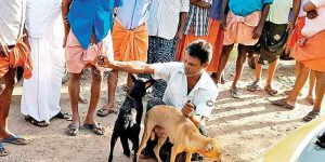 kerala-strangles-stray-dogs-flouting-sc-order-with-20-choked-to-death-in-ernakulam-and-100-killed-in-palakad-indialivetoday